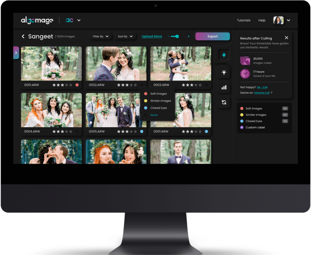 Algomage AI culling software