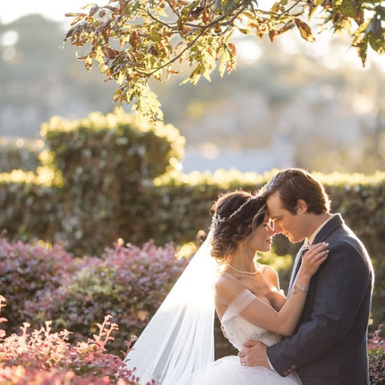 clean and crisp before